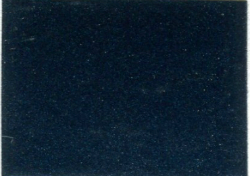 1981  Nissan Midnight Blue Metallic